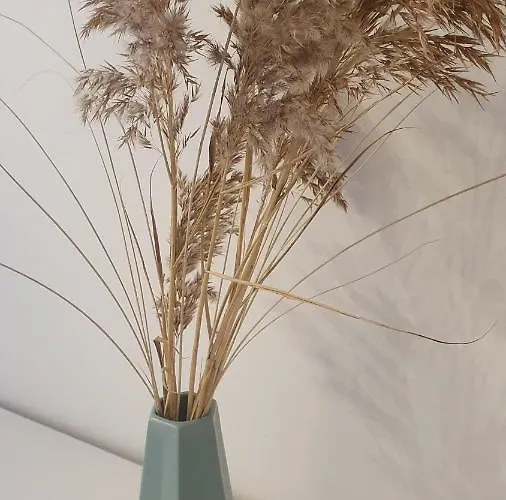 Appartement Ferienwohnung Weitblick Offenburg